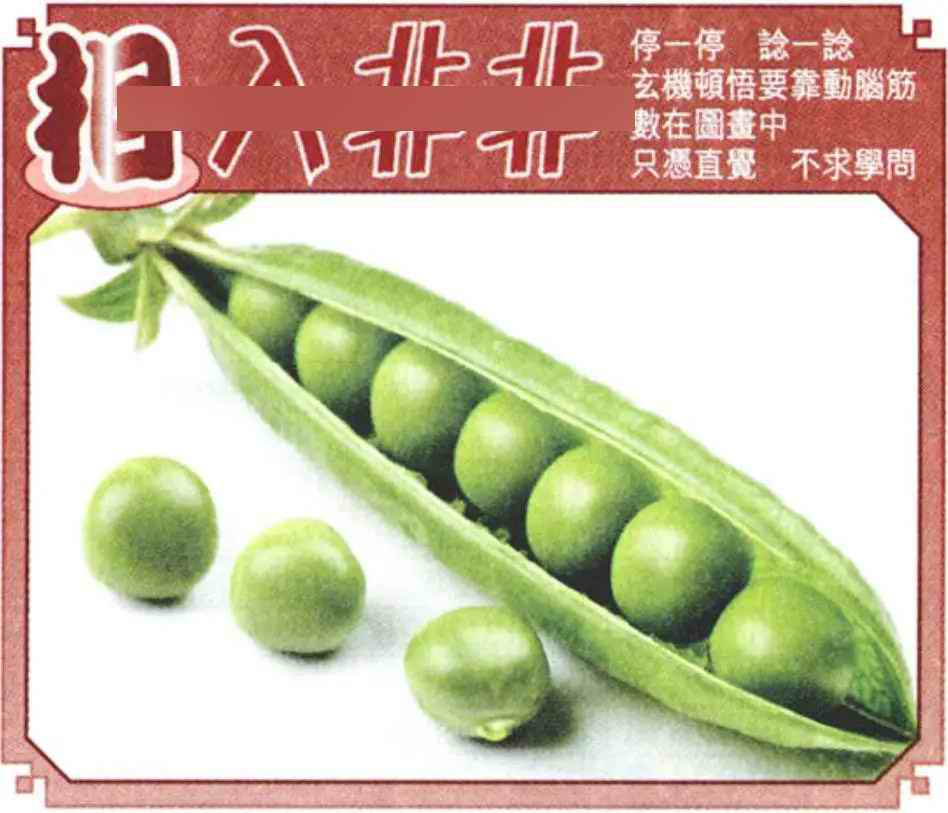 037期相入非非[图]